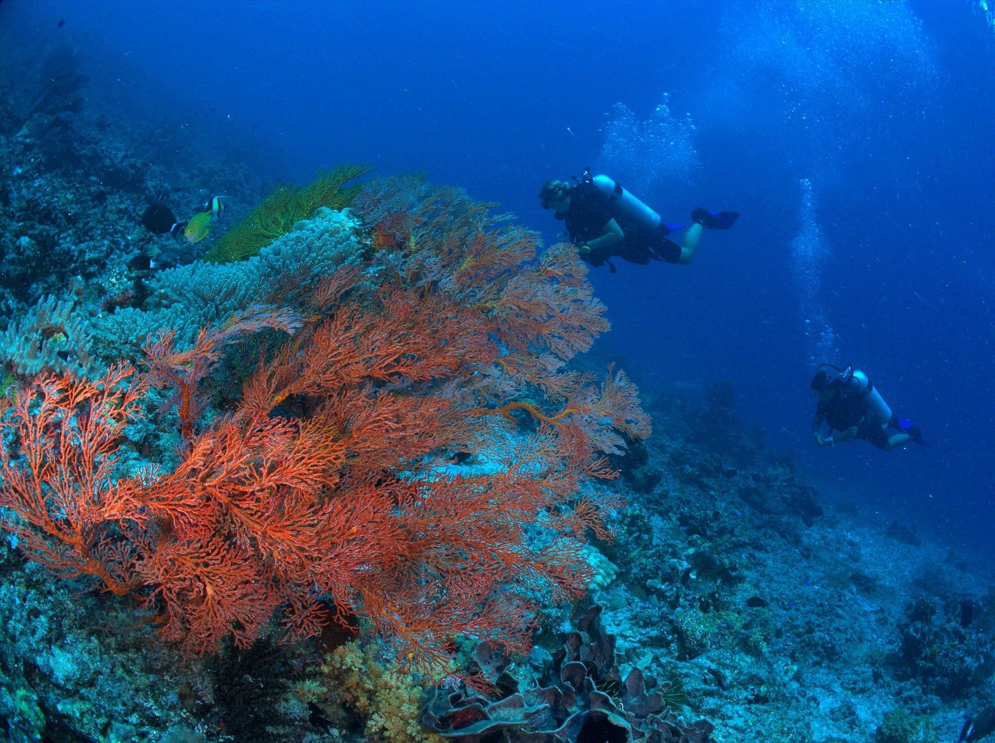 Bluehill Dive Resort Tulamben Exterior foto